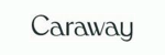 Caraway Coupon Codes